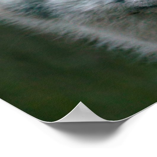 Poster Images Getty | Arctic Fox Kit (Coin)