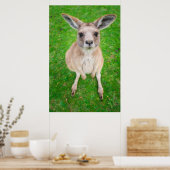 Poster Images Getty | Baby Kangaroo (Cuisine)