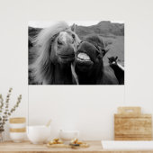 Poster Images Getty | Chevaux souriants (Cuisine)