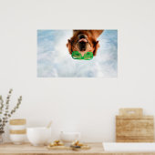 Poster Images Getty | Chien avec lunettes (Cuisine)