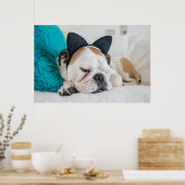 Poster Images Getty | Chien endormi avec bandeau de chat (Cuisine)