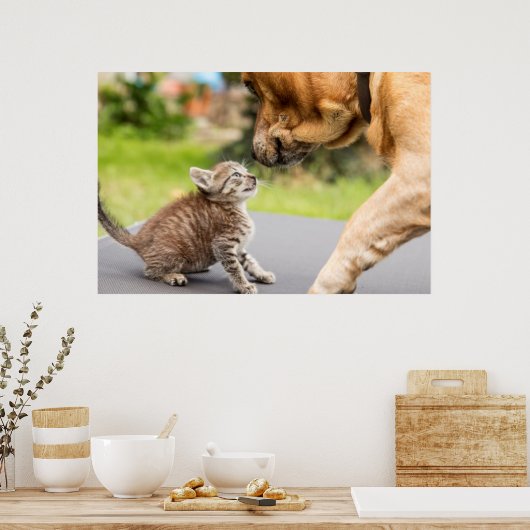 Poster Images Getty | Chien et chat en amour (Cuisine)