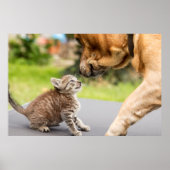 Poster Images Getty | Chien et chat en amour (Devant)