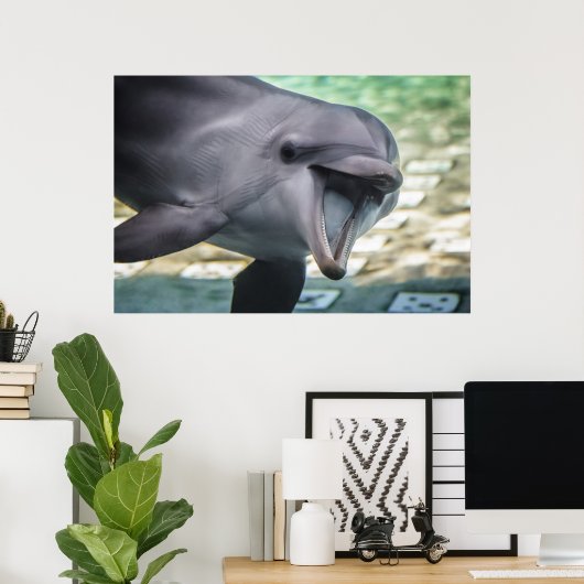 Poster Images Getty | Dauphin (Bureau à domicile)