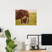 Poster Images Getty | Elephant & bébé (Bureau à domicile)