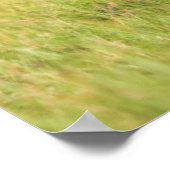 Poster Images Getty | Famille Giraffe (Coin)