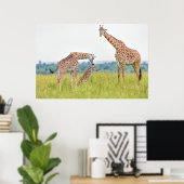 Poster Images Getty | Famille Giraffe (Bureau à domicile)