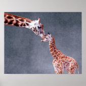 Poster Images Getty | Mère et bébé Giraffe (Devant)