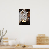 Poster Images Getty | Petite chèvre (Cuisine)