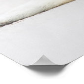 Poster Images Getty | Phoque bébé (Coin)