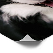 Poster Images Getty | Une Collie frontalière souriante (Coin)