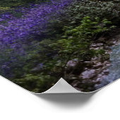 Poster Imaginaire (Coin)