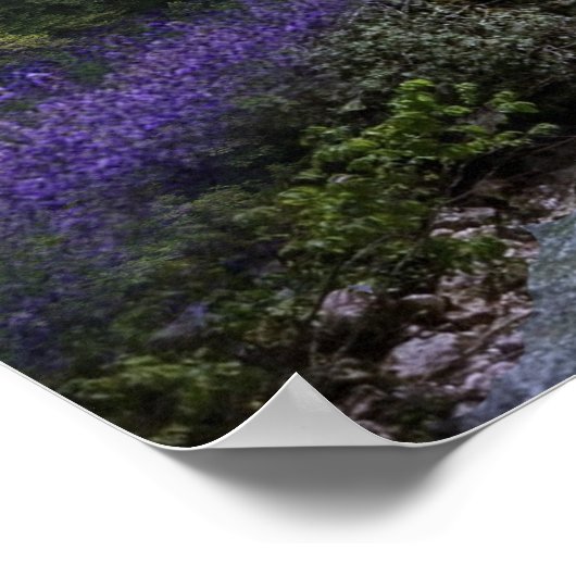 Poster Imaginaire (Coin)