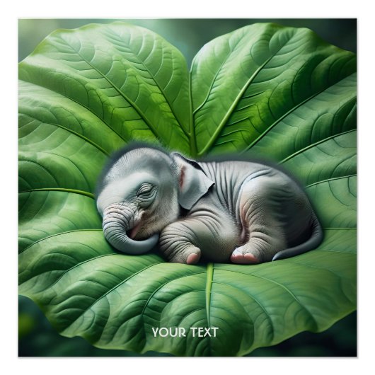 Poster Imaginaire Bébé mignon Eléphant Feuille (Devant)