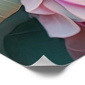 Poster Imaginaire blanc crêpé à queue blanche Jay (Coin)