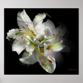 Poster Imaginaire blanc Lily (Devant)