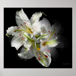 Poster Imaginaire blanc Lily