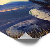 Poster Imaginaire champignon (Coin)