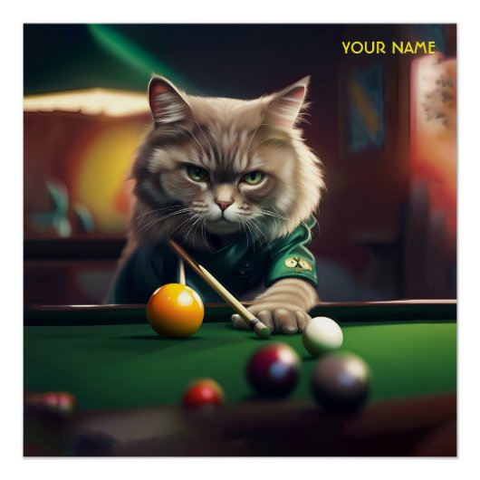 Poster Imaginaire Cute Chat Jouer Snooker (Devant)