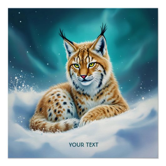 Poster Imaginaire Cute Lynx Cub hiver (Devant)