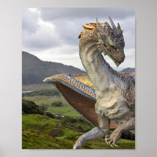 Poster Imaginaire de dragon de bronze