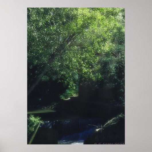 Poster imaginaire de millington (Devant)