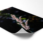 Poster Imaginaire d'été (Coin)