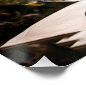 Poster Imaginaire Fleurs de chats en verre vif (Coin)