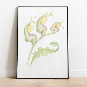 Poster Imaginaire floral botanique capricieux aquarelle