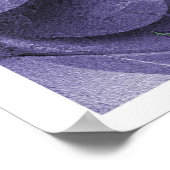 Poster Imaginaire fractal 11 (Coin)