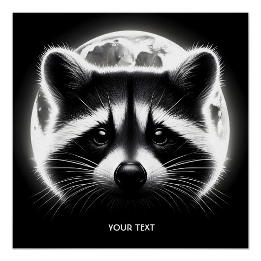 Poster Imaginaire mignon Racoon visage lune (Devant)