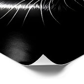Poster Imaginaire mignon Racoon visage lune (Coin)