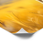 Poster Imaginaire mignon Wombat Kangaroo Koala (Coin)