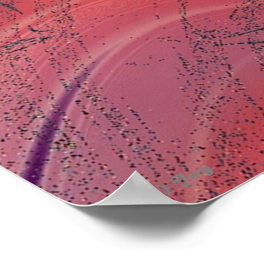 POSTER IMAGINAIRE PEACOCK (Coin)