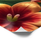 Poster Imaginaire perroquet blanc (Coin)