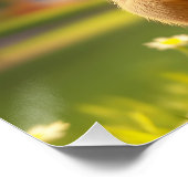 Poster Imaginaire Souris terrain de basket (Coin)