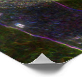 Poster Imaginaire Swan Animal Art (Coin)