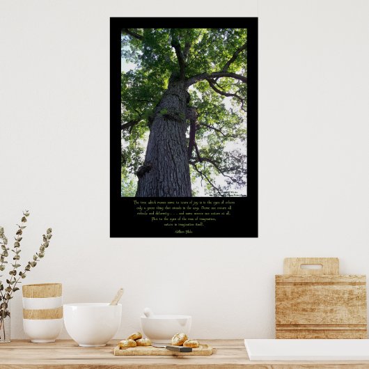 Poster Imaginez (Cuisine)