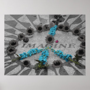 Poster Imaginez