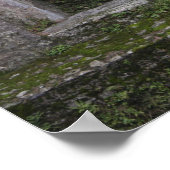 POSTER IMG_0730 (Coin)