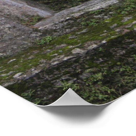 POSTER IMG_0730 (Coin)