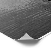 Poster IMG_1204, Photo de Deb Stachoviak (Coin)