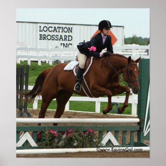 Poster Img_3748 (Devant)