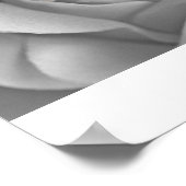 Poster IMG_4572a (Coin)