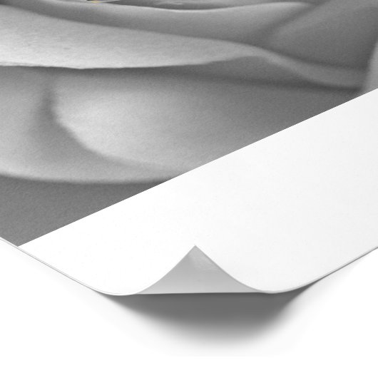 Poster IMG_4572a (Coin)