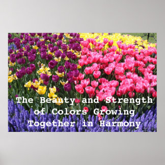Poster IMG_5044, The Beauty and Strength of Colours Gro..