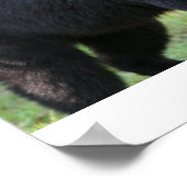 Poster IMG_5587_édité (Coin)