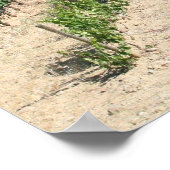 Poster IMG_6159, La Rioja, Espagne (Coin)