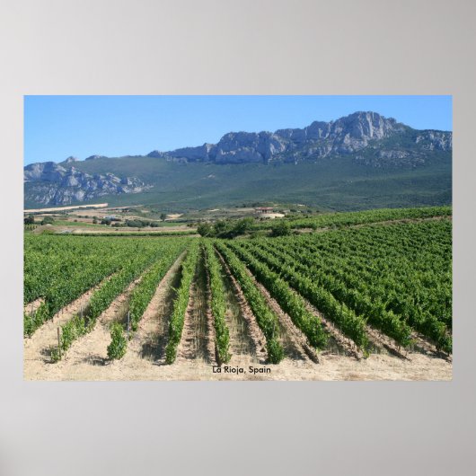 Poster IMG_6159, La Rioja, Espagne (Devant)