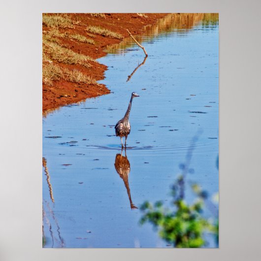 Poster Imitant (Devant)